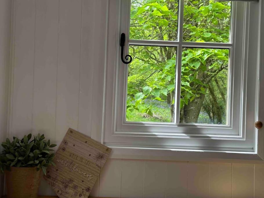 Cornwall Woodland Shepherd'S Hut Deirdres Hut Bodmin Extérieur photo