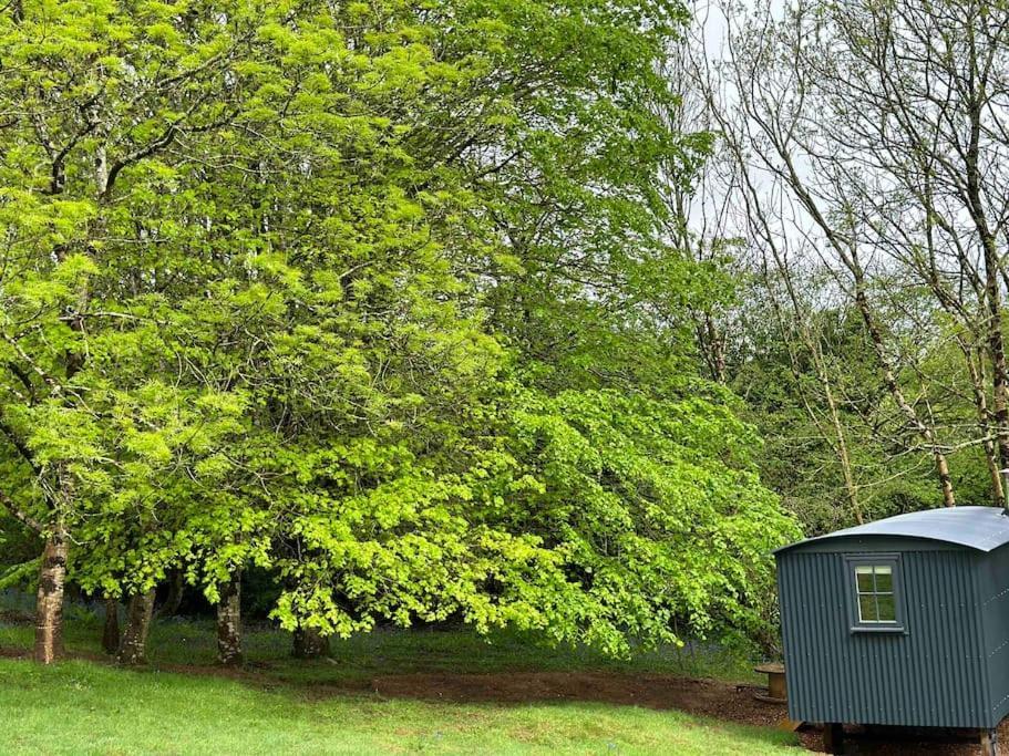 Cornwall Woodland Shepherd'S Hut Deirdres Hut Bodmin Extérieur photo