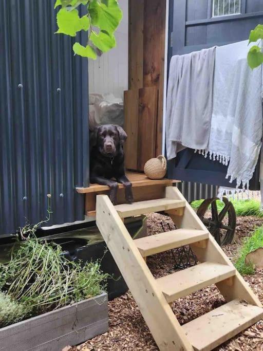 Cornwall Woodland Shepherd'S Hut Deirdres Hut Bodmin Extérieur photo