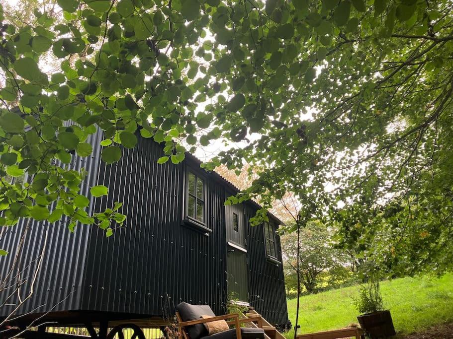 Cornwall Woodland Shepherd'S Hut Deirdres Hut Bodmin Extérieur photo
