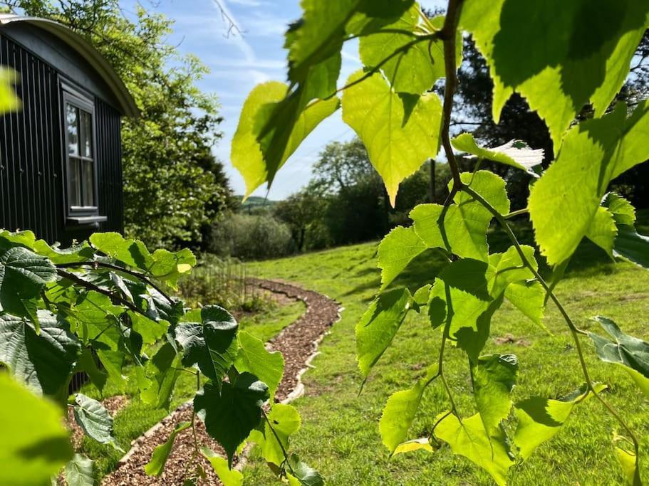 Cornwall Woodland Shepherd'S Hut Deirdres Hut Bodmin Extérieur photo