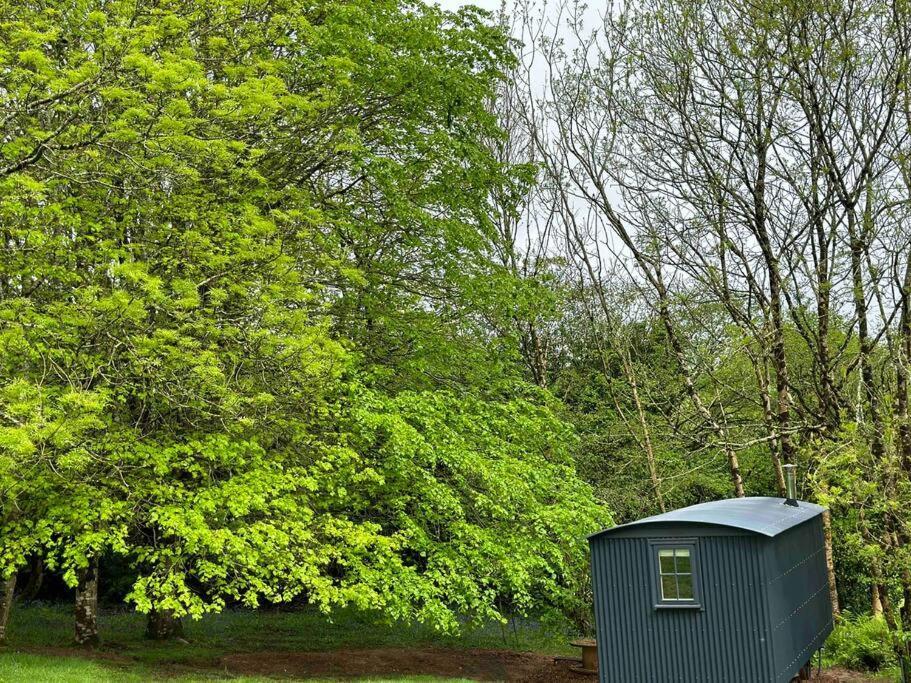 Cornwall Woodland Shepherd'S Hut Deirdres Hut Bodmin Extérieur photo