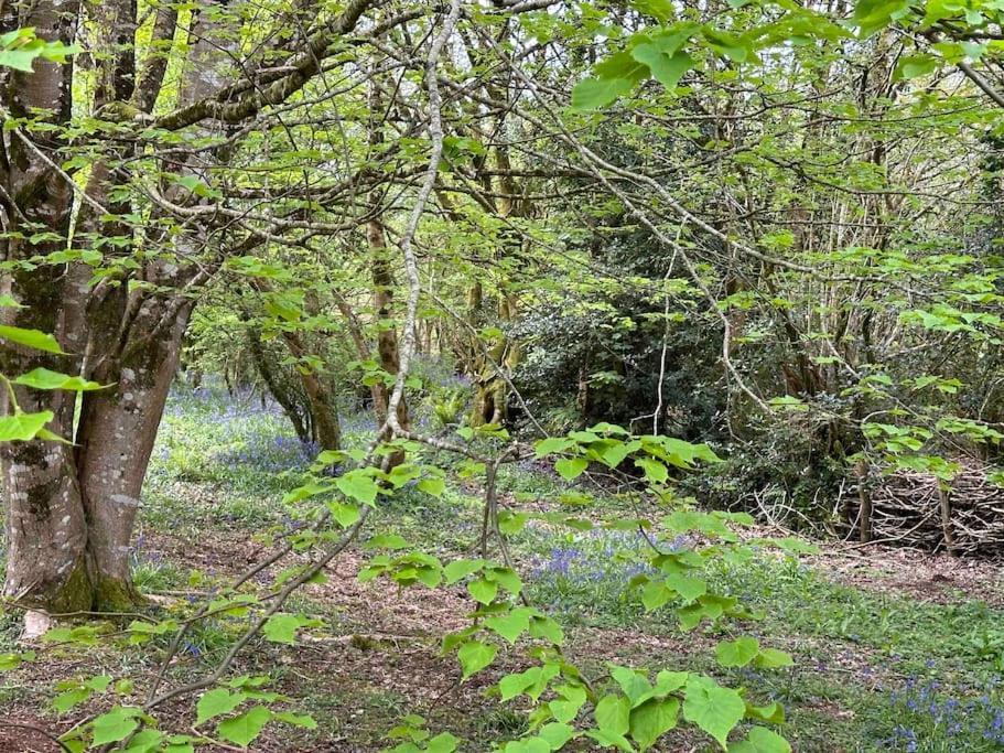 Cornwall Woodland Shepherd'S Hut Deirdres Hut Bodmin Extérieur photo